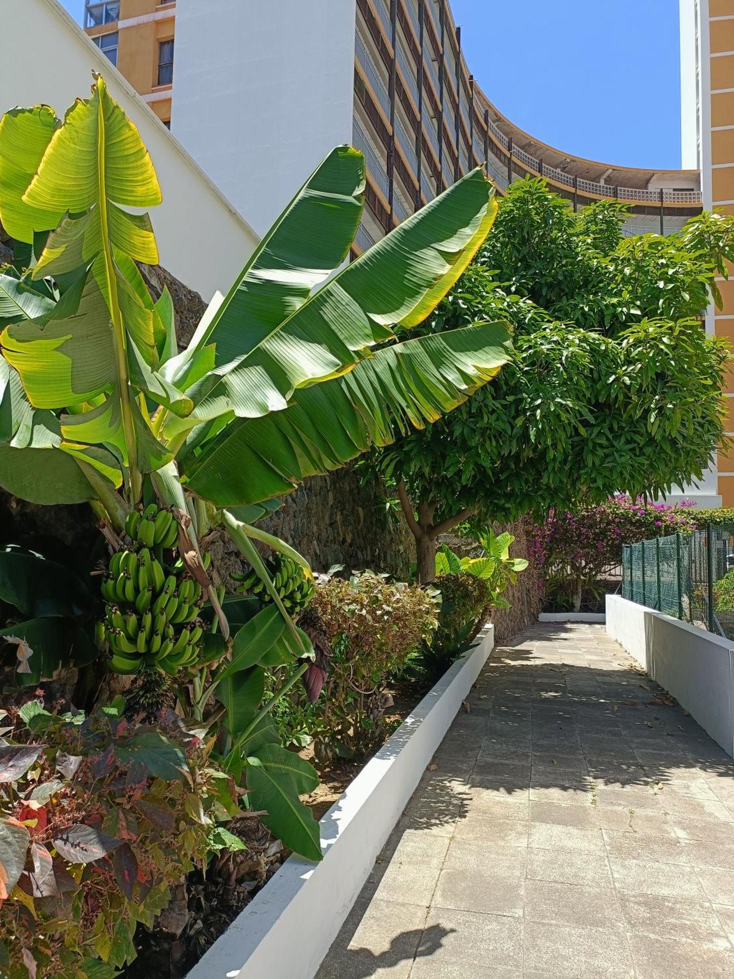 Apartament Duplex Sol Y Mar *