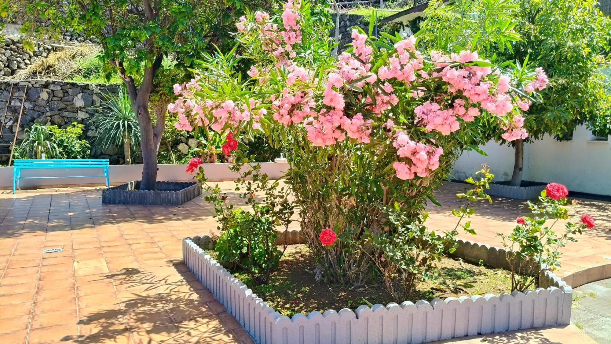 Duplex Sol Y Mar Apartment *
